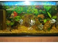 predam-tuto-velku-krasnu-jaskynu-small-0