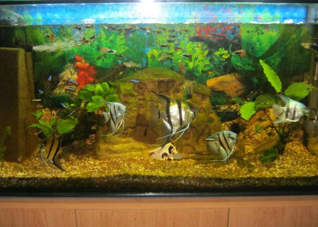 predam-tuto-velku-krasnu-jaskynu-big-0