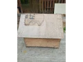 buda-pre-psa-small-3