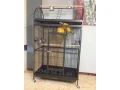 voliera-small-2
