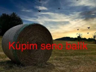 kupim-seno