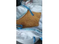 predam-kukuricu-small-0