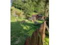 daniel-skvrnity-small-3