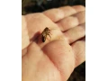predam-odlozence-small-3