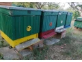 vcely-small-0
