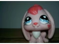 lps-zajko-small-0