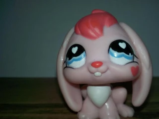 lps-zajko
