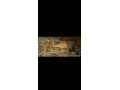 dreveny-konik-na-hupenie-pre-deti-small-1
