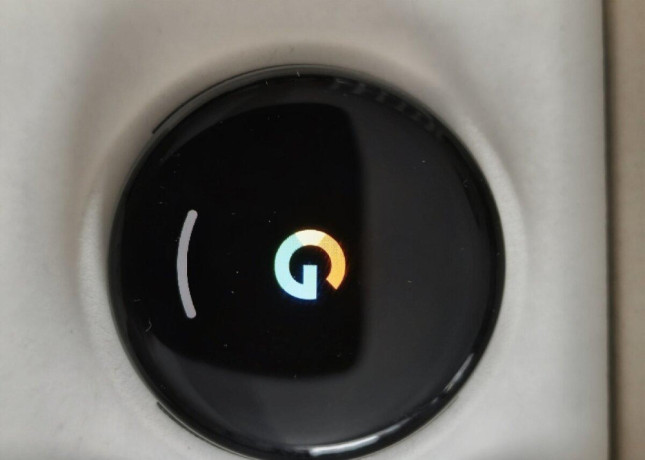 google-pixel-9-smart-hodinky-big-4
