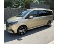 mercedes-benz-v-trieda-300d-exclusive-long-small-0