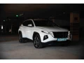 hyundai-tucson-16-t-gdi-hev-premium-4x4-132kw180hp-a6-small-2
