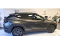 hyundai-tucson-20th-anniversary-edition-small-1