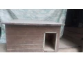 predam-budu-pre-psa-small-0