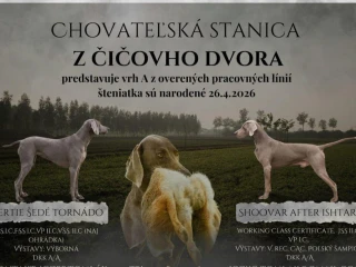weimarsky-stavac-s-pp