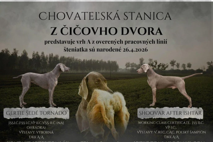 weimarsky-stavac-s-pp-big-0