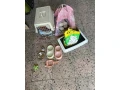 maciatka-maciatko-prepravka-vybavenie-small-0