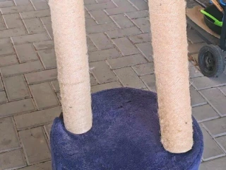 pelech