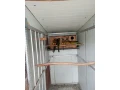 papagaj-patagonsky-small-1
