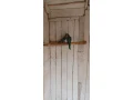 mnich-sedy-small-2