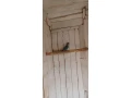 mnich-sedy-small-3