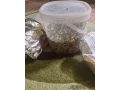 jedlo-pre-papagaje-zako-small-2