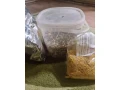 jedlo-pre-papagaje-zako-small-0