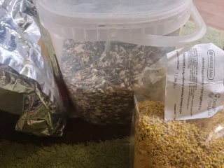 jedlo-pre-papagaje-zako