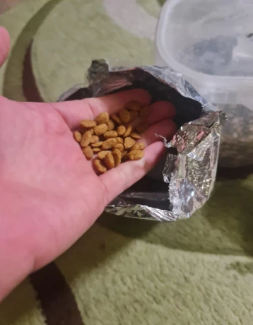 jedlo-pre-papagaje-zako-big-3