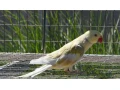 alexander-maly-small-2