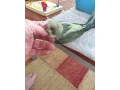 predam-mnich-sedy-small-1