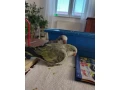predam-mnich-sedy-small-2