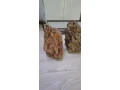 kamen-dragon-stone-small-2