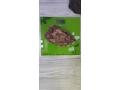 kamen-dragon-stone-small-3