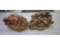 kamen-dragon-stone-small-1