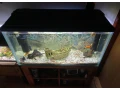 predame-tieto-2-akvaria-mensie-je-60l-vecsie-je-250l-small-4