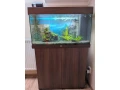 predam-akvariovy-set-juwel-rio-125-l-so-skrinkou-small-0