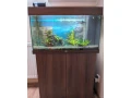 predam-akvariovy-set-juwel-rio-125-l-so-skrinkou-small-1