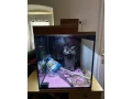 predam-akvarium-216-litrove-kocka-60x60-small-0