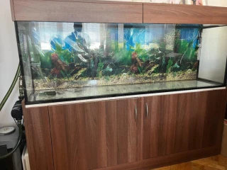 akvarium