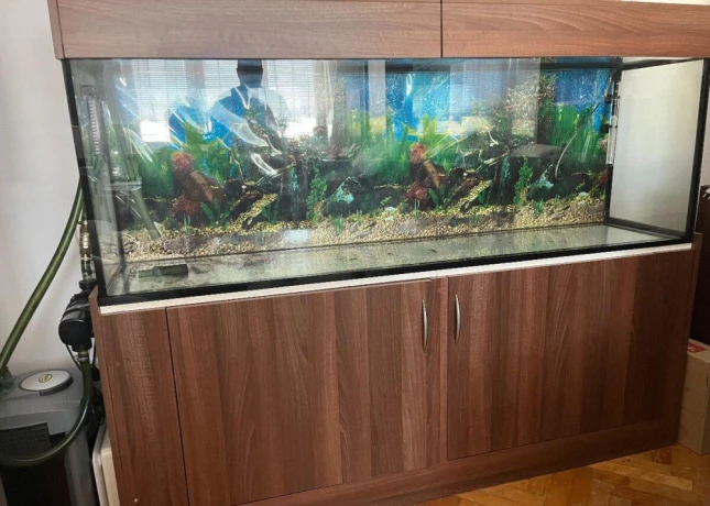 akvarium-big-1