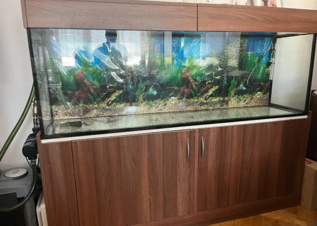 akvarium-big-0