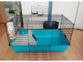 klietka-pre-morca-small-1