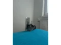 cincila-small-2