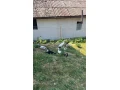 predam-indicke-bezce-small-2