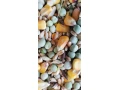 predam-granulovanu-zmes-pre-nosnice-small-0