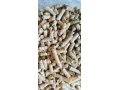predam-granulovanu-zmes-pre-nosnice-small-1