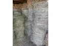 lucerka-small-1