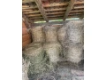 lucerka-small-0
