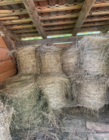 lucerka-big-0