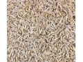 sano-obilie-small-3